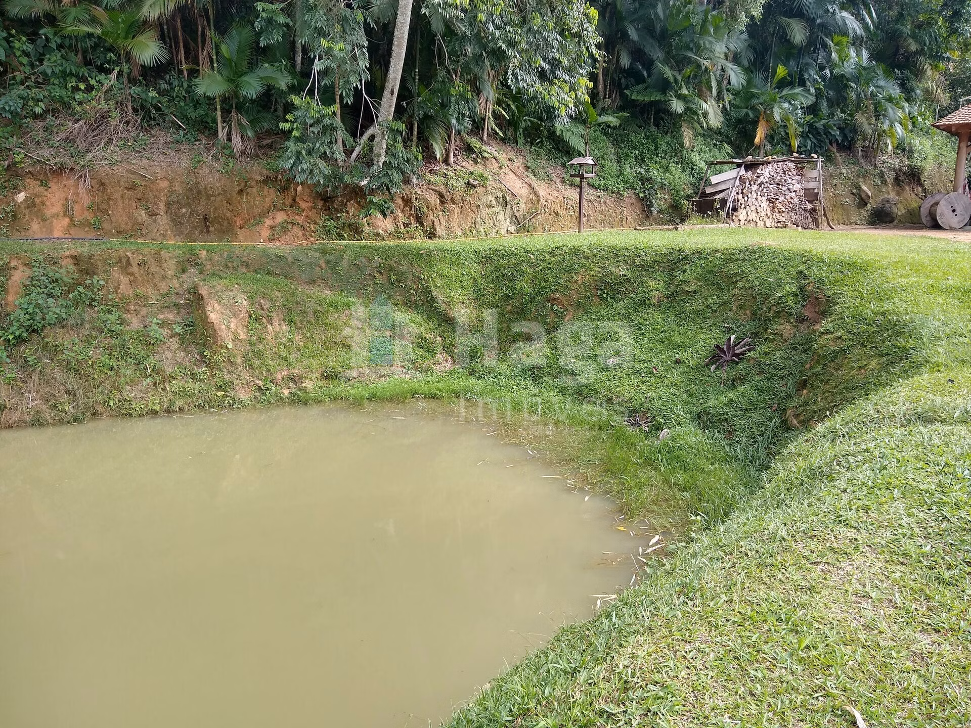 Farm of 5 acres in Rio dos Cedros, SC, Brazil