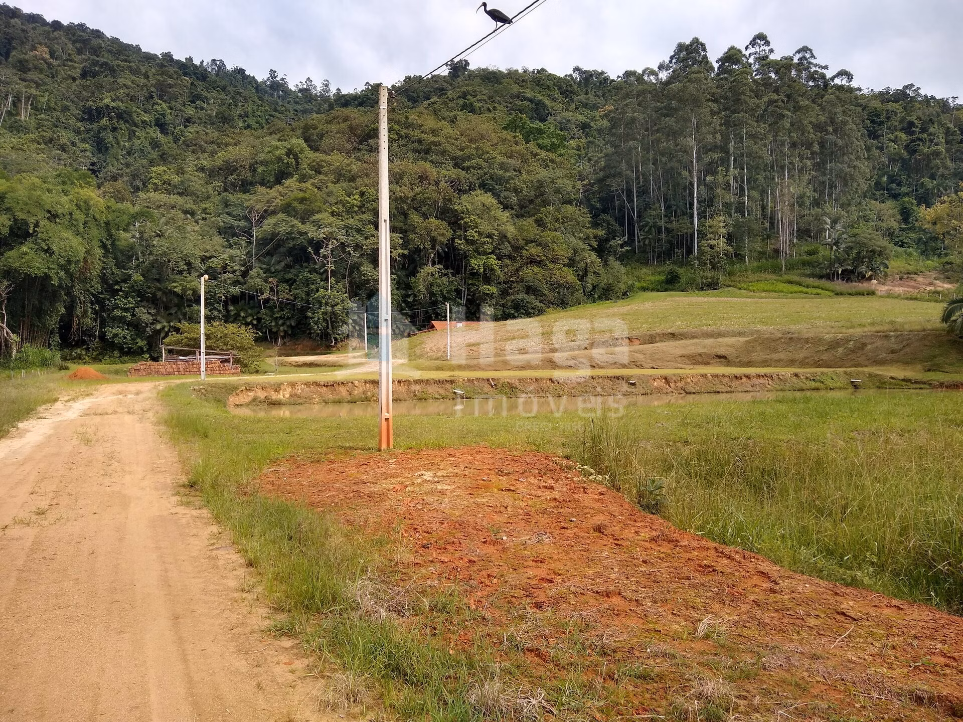 Fazenda de 2 ha em Rio dos Cedros, SC