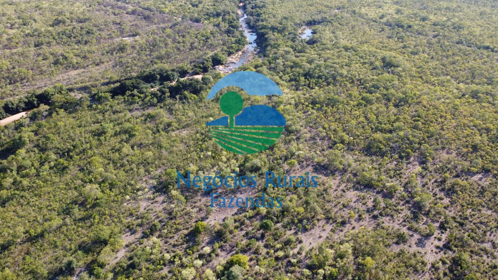 Fazenda de 1.936 ha em Paranã, TO