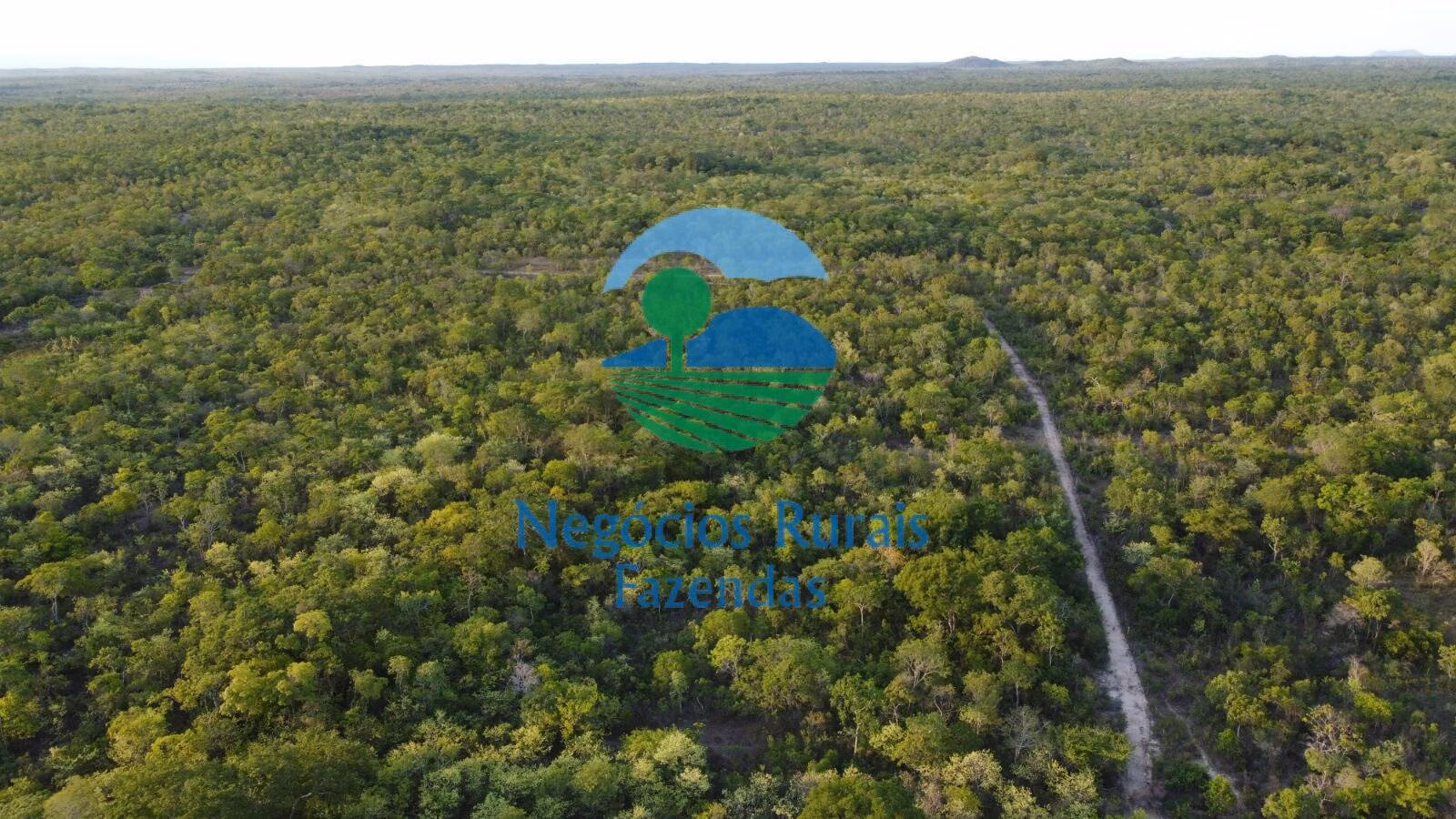 Fazenda de 1.936 ha em Paranã, TO