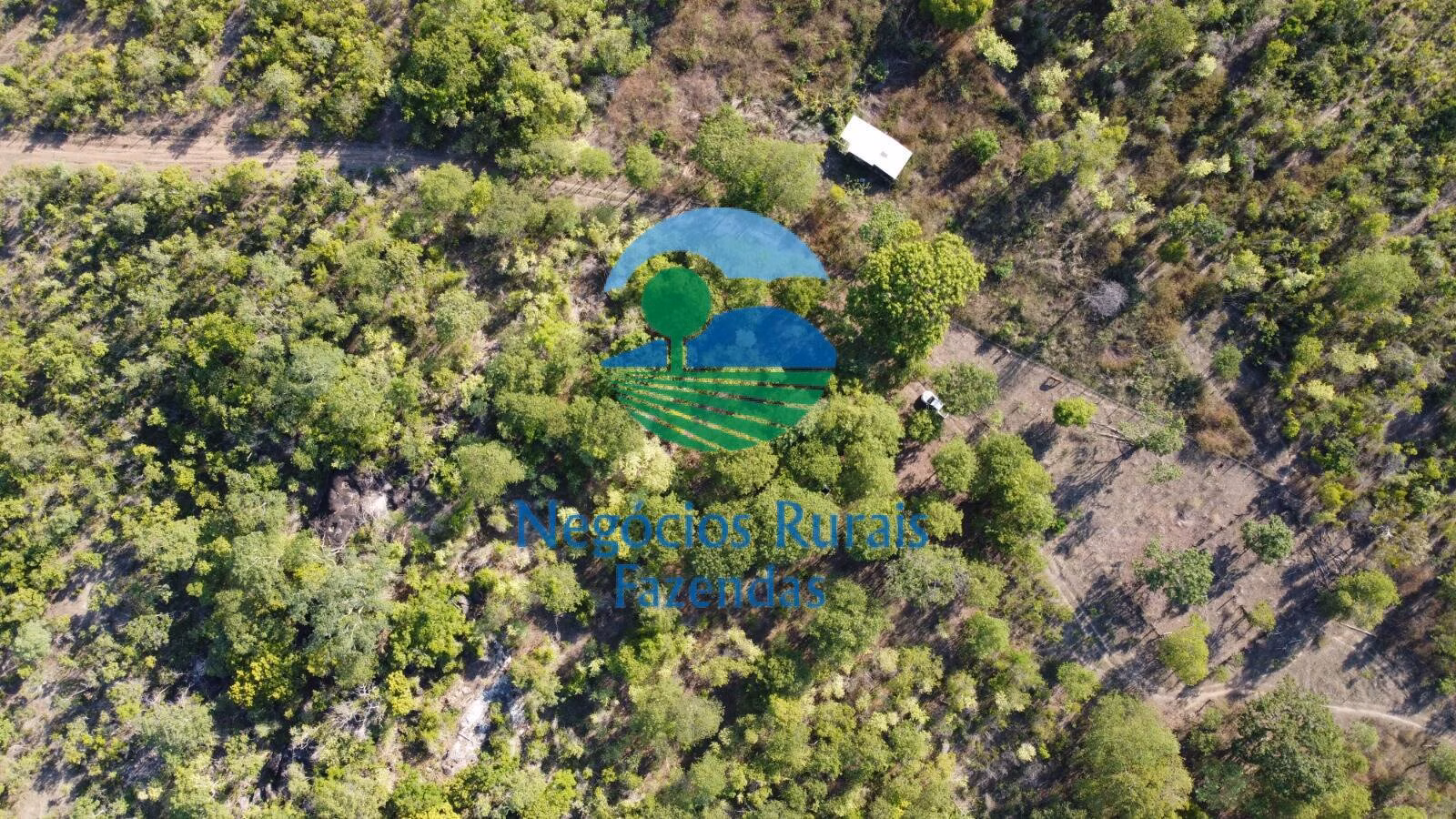 Fazenda de 1.936 ha em Paranã, TO