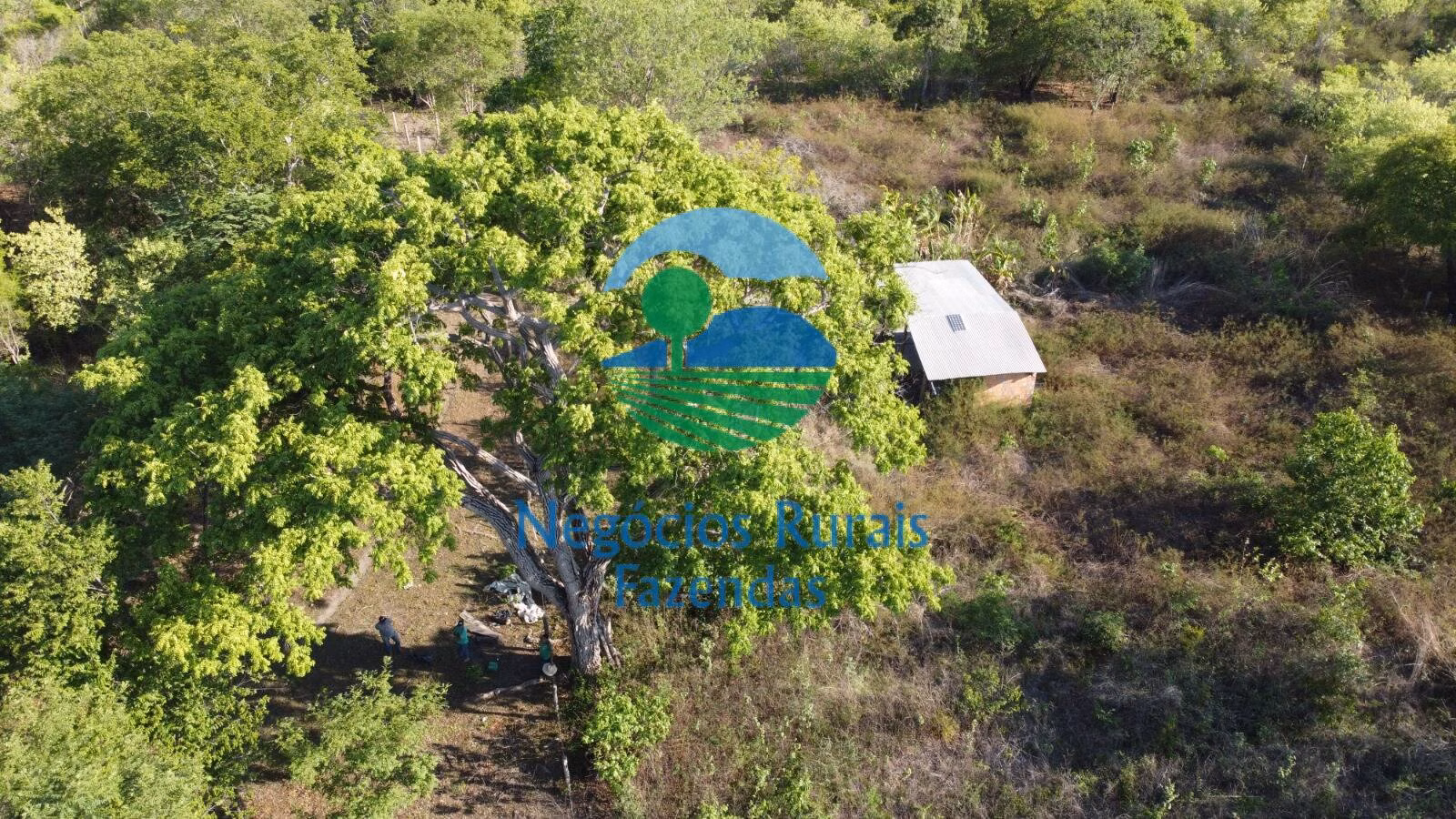 Fazenda de 1.936 ha em Paranã, TO