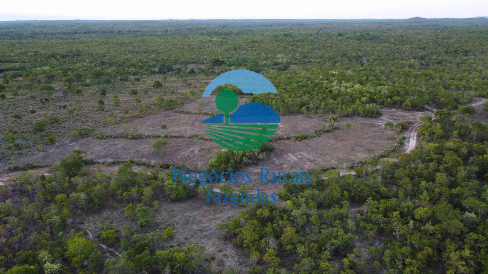 Fazenda de 1.936 ha em Paranã, TO