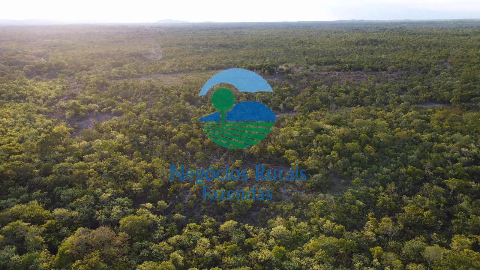 Fazenda de 1.936 ha em Paranã, TO
