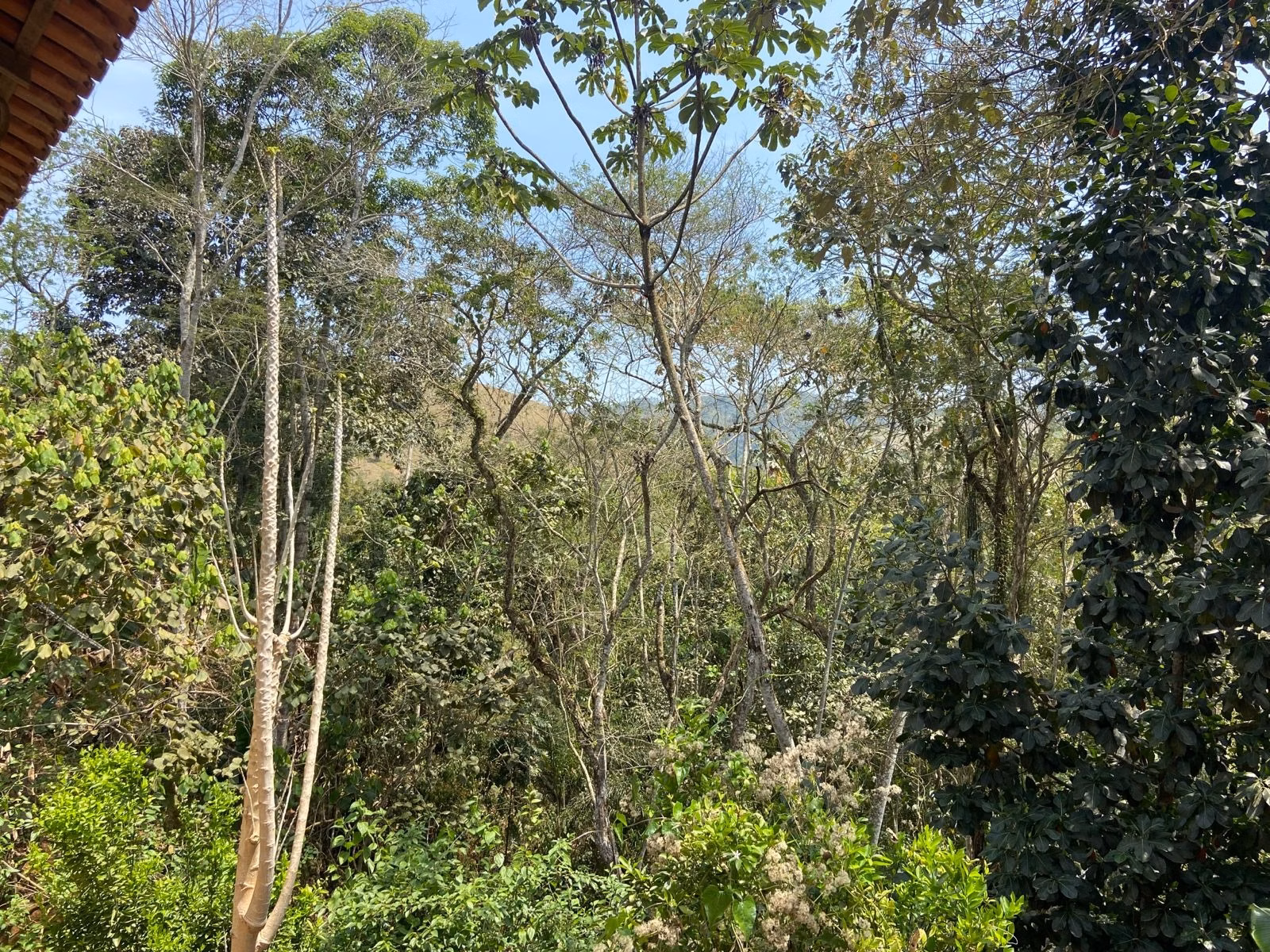 Chácara de 1 ha em Monteiro Lobato, SP