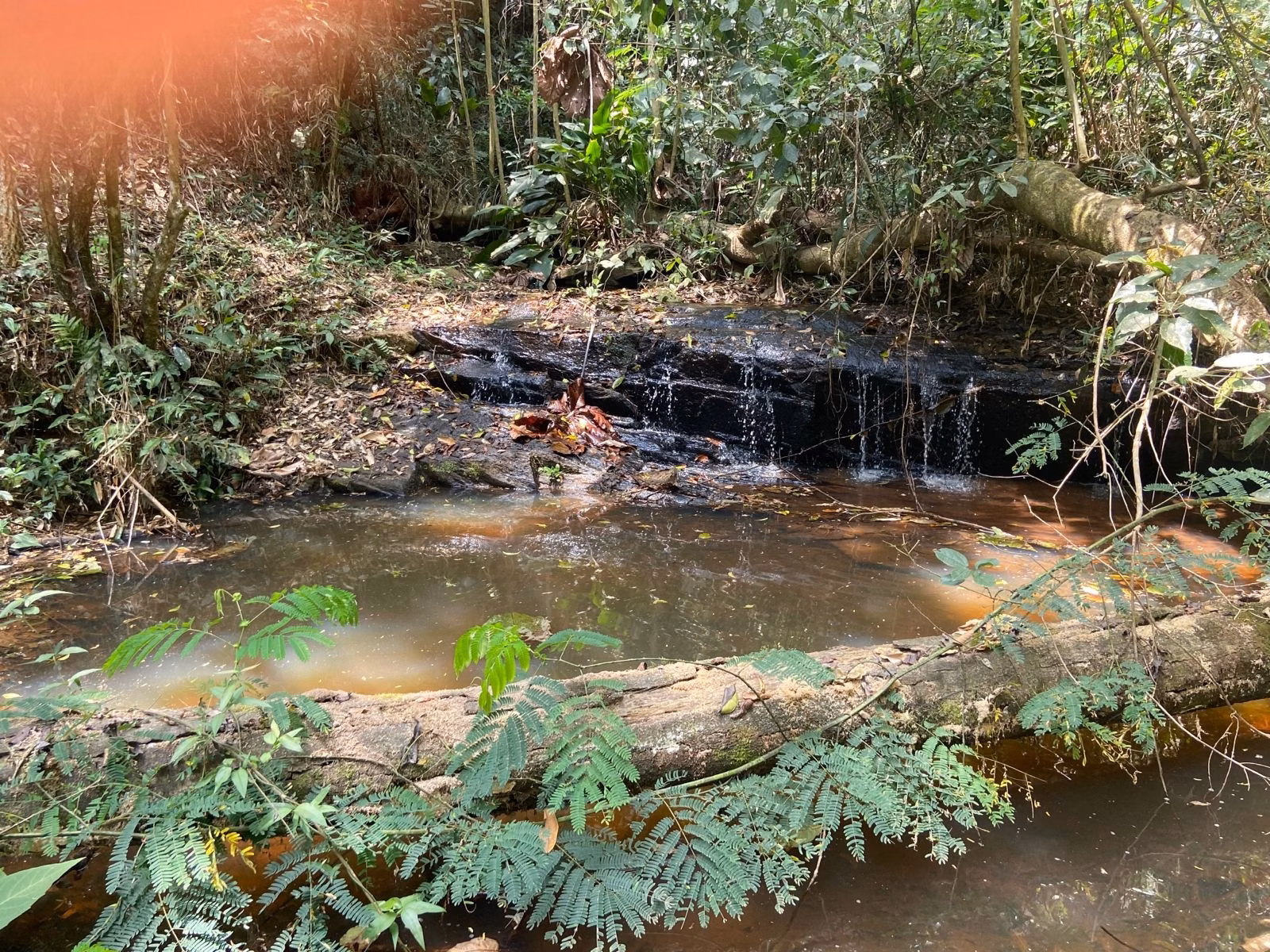 Chácara de 1 ha em Monteiro Lobato, SP