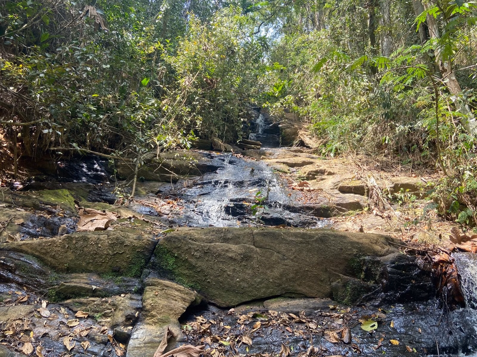 Chácara de 1 ha em Monteiro Lobato, SP