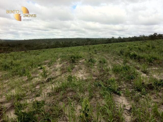 Fazenda de 1.491 ha em Reserva do Cabaçal, MT