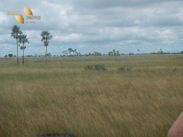 Farm of 137,020 acres in Cáceres, MT, Brazil