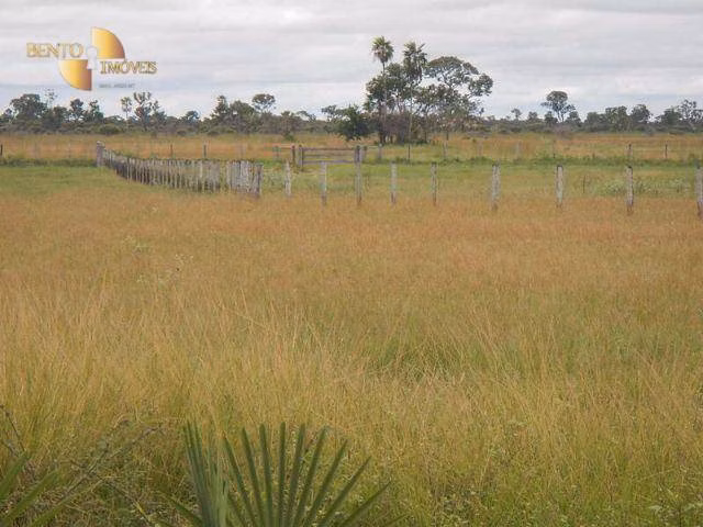 Farm of 137,020 acres in Cáceres, MT, Brazil