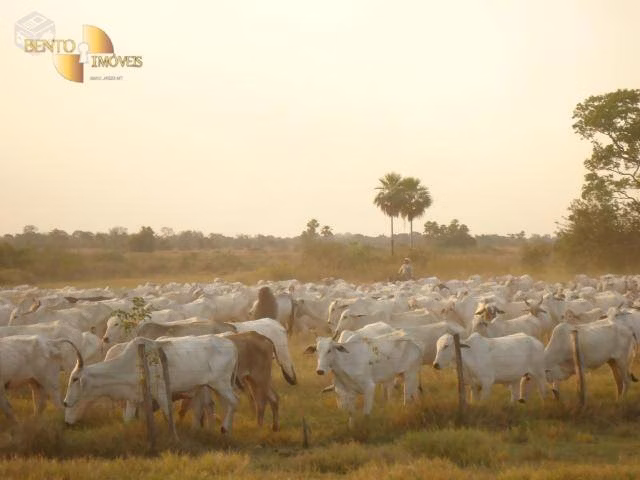 Farm of 137,020 acres in Cáceres, MT, Brazil