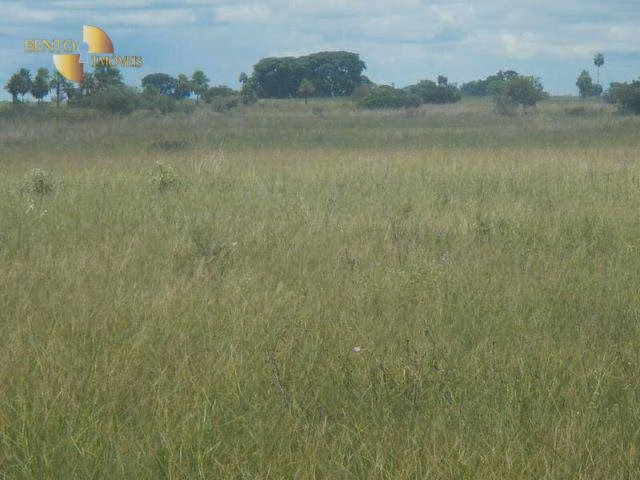 Farm of 137,020 acres in Cáceres, MT, Brazil
