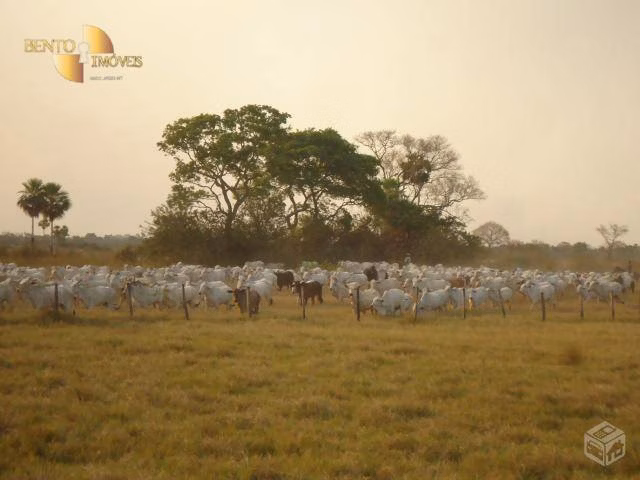Farm of 137,020 acres in Cáceres, MT, Brazil