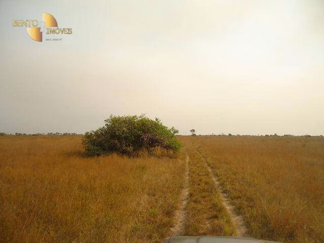 Farm of 137,020 acres in Cáceres, MT, Brazil