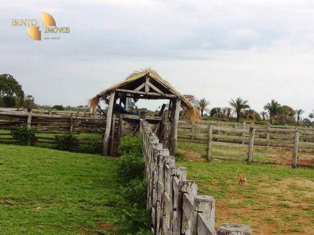 Farm of 137,020 acres in Cáceres, MT, Brazil