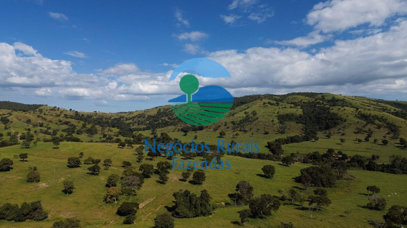 Fazenda de 803 ha em Goianésia, GO