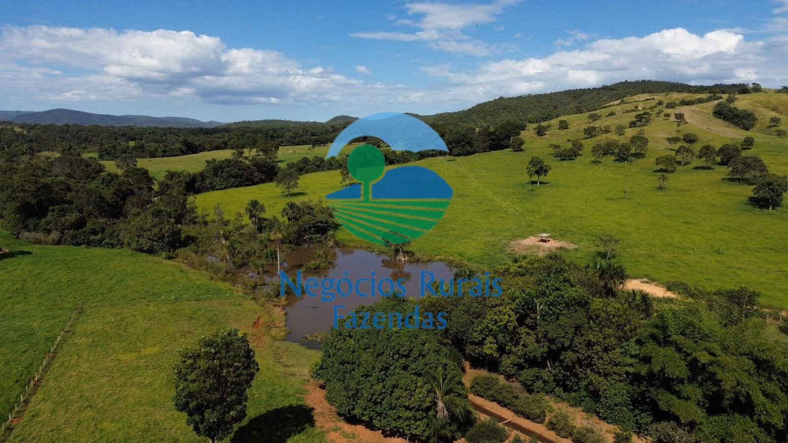 Fazenda de 803 ha em Goianésia, GO