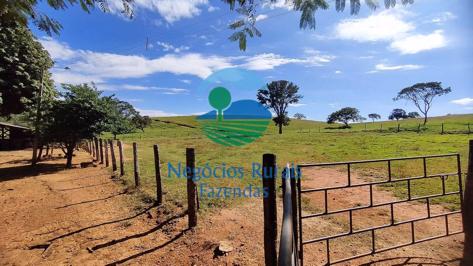 Fazenda de 803 ha em Goianésia, GO