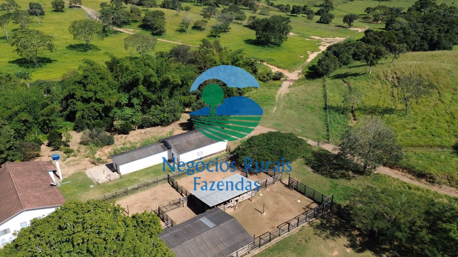 Fazenda de 803 ha em Goianésia, GO