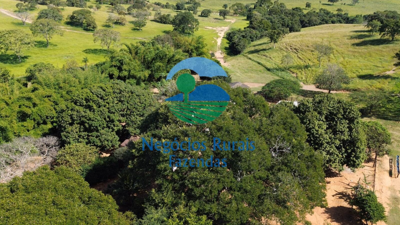Fazenda de 803 ha em Goianésia, GO