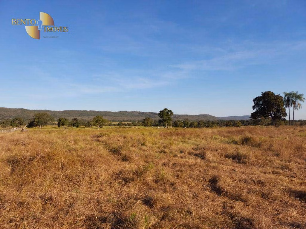 Fazenda de 650 ha em Porto Estrela, MT