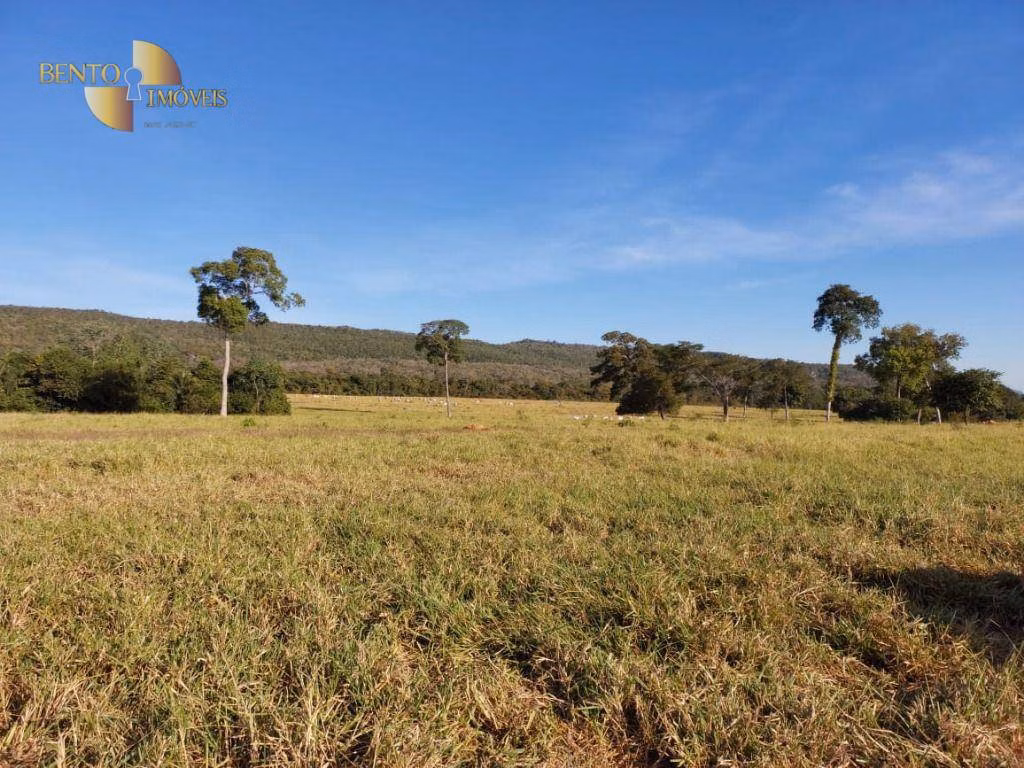 Farm of 1.606 acres in Porto Estrela, MT, Brazil