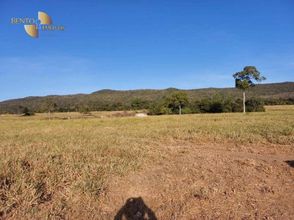 Fazenda de 650 ha em Porto Estrela, MT