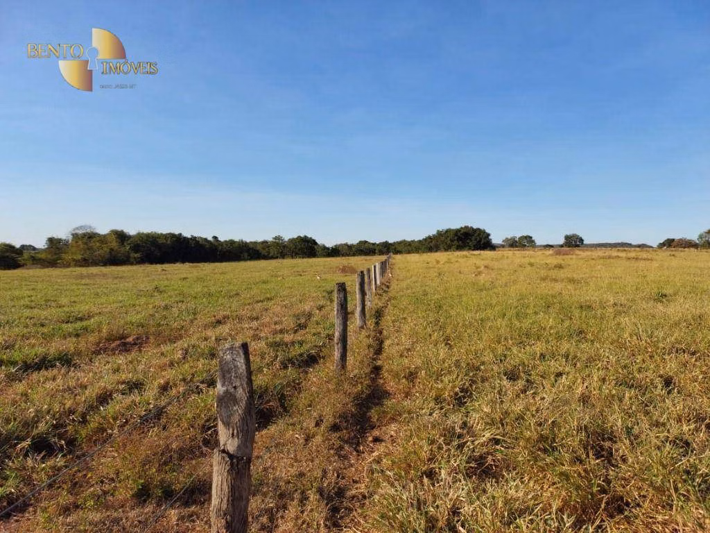Fazenda de 650 ha em Porto Estrela, MT