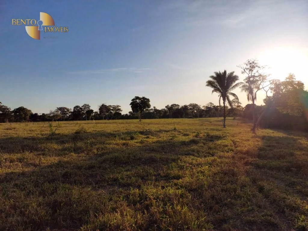 Fazenda de 650 ha em Porto Estrela, MT