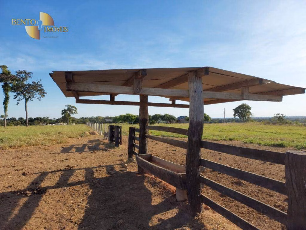 Fazenda de 650 ha em Porto Estrela, MT