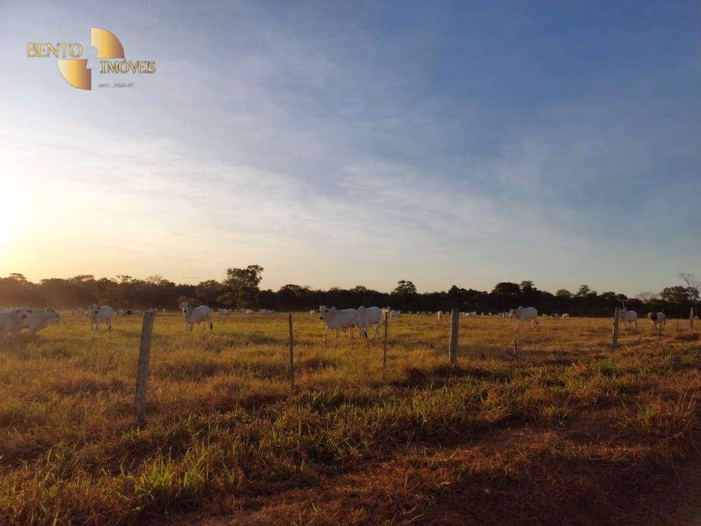 Fazenda de 650 ha em Porto Estrela, MT