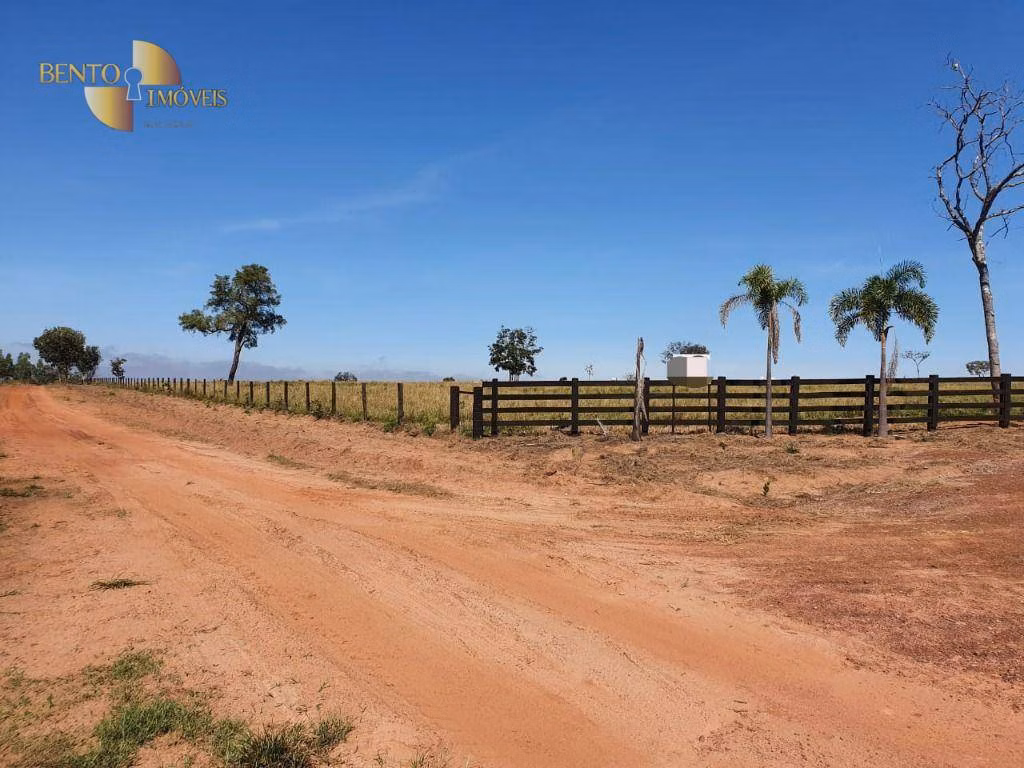 Fazenda de 1.137 ha em Dom Aquino, MT