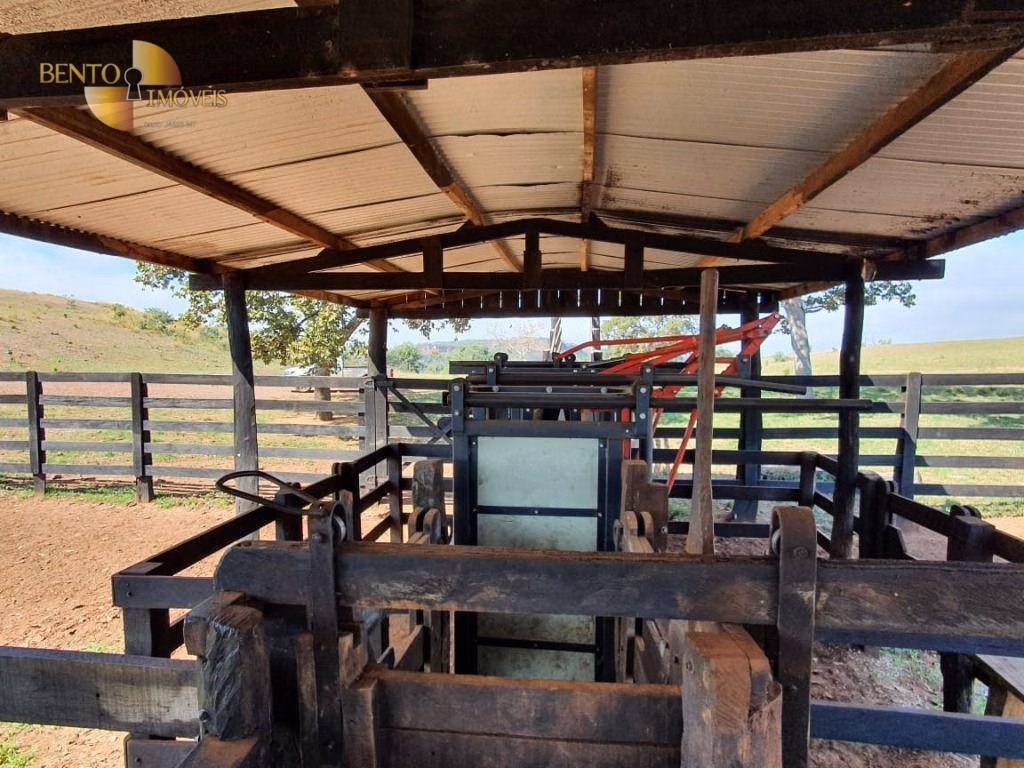 Fazenda de 1.137 ha em Dom Aquino, MT