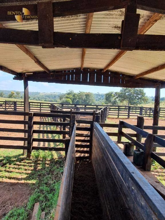 Fazenda de 1.137 ha em Dom Aquino, MT