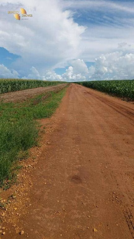 Fazenda de 9.000 ha em Sapezal, MT