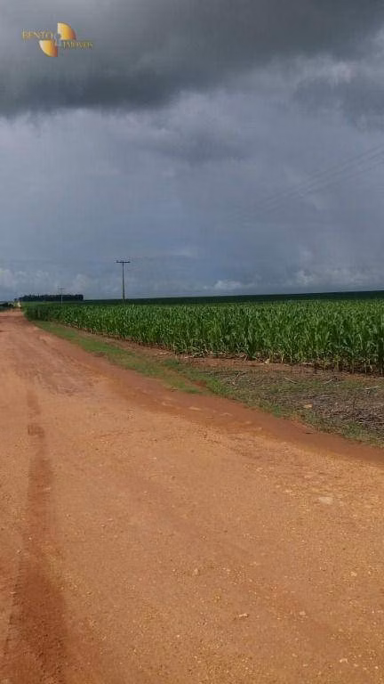 Fazenda de 9.000 ha em Sapezal, MT