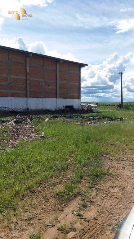 Farm of 22.239 acres in Sapezal, MT, Brazil