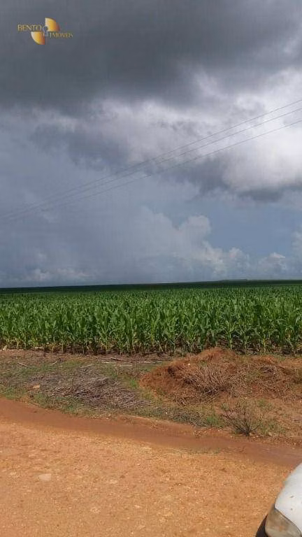 Fazenda de 9.000 ha em Sapezal, MT