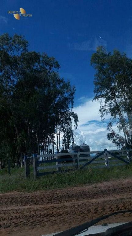 Farm of 22.239 acres in Sapezal, MT, Brazil