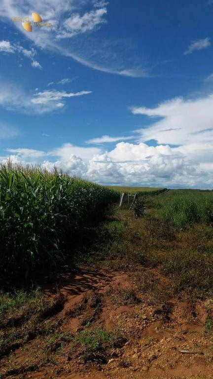 Farm of 22.239 acres in Sapezal, MT, Brazil