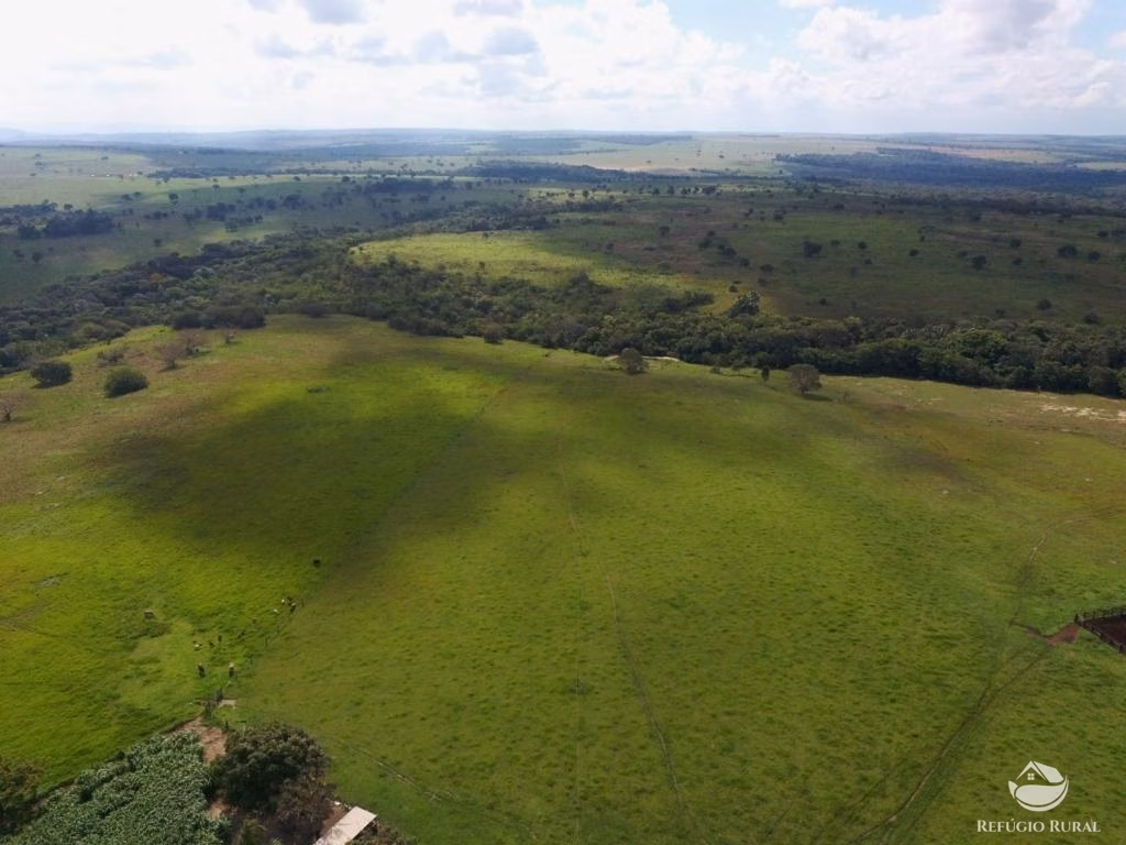 Fazenda de 1.400 ha em Primavera do Leste, MT