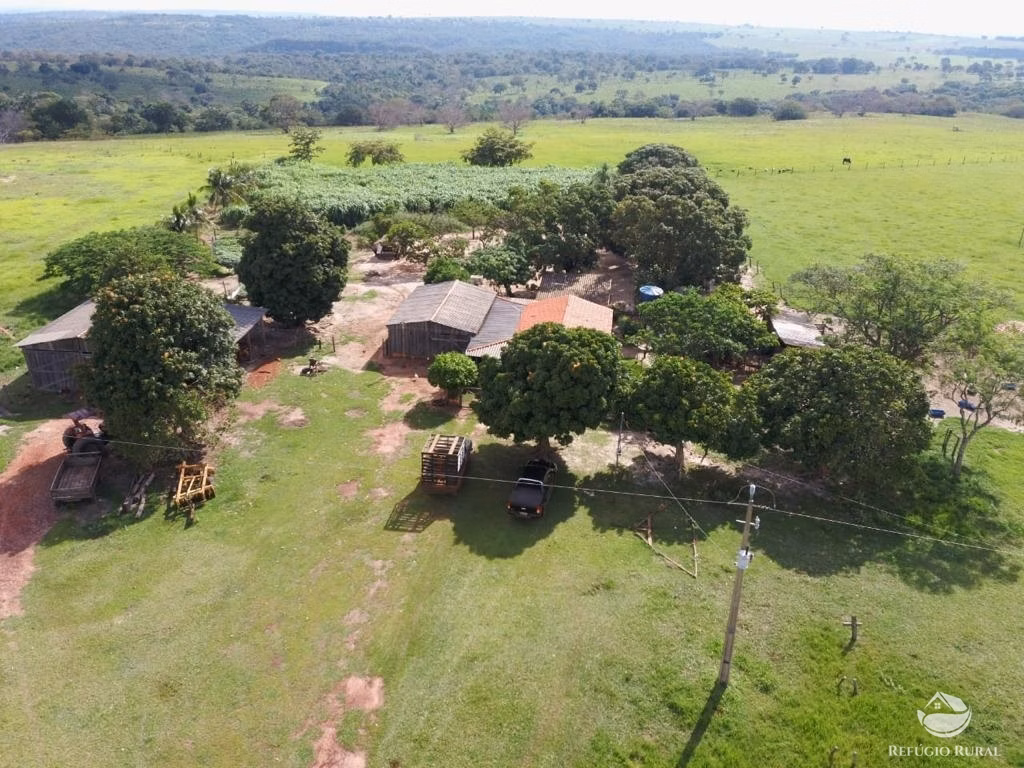Fazenda de 1.400 ha em Primavera do Leste, MT