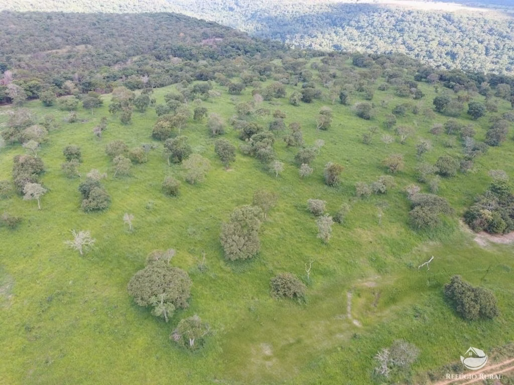Fazenda de 1.400 ha em Primavera do Leste, MT