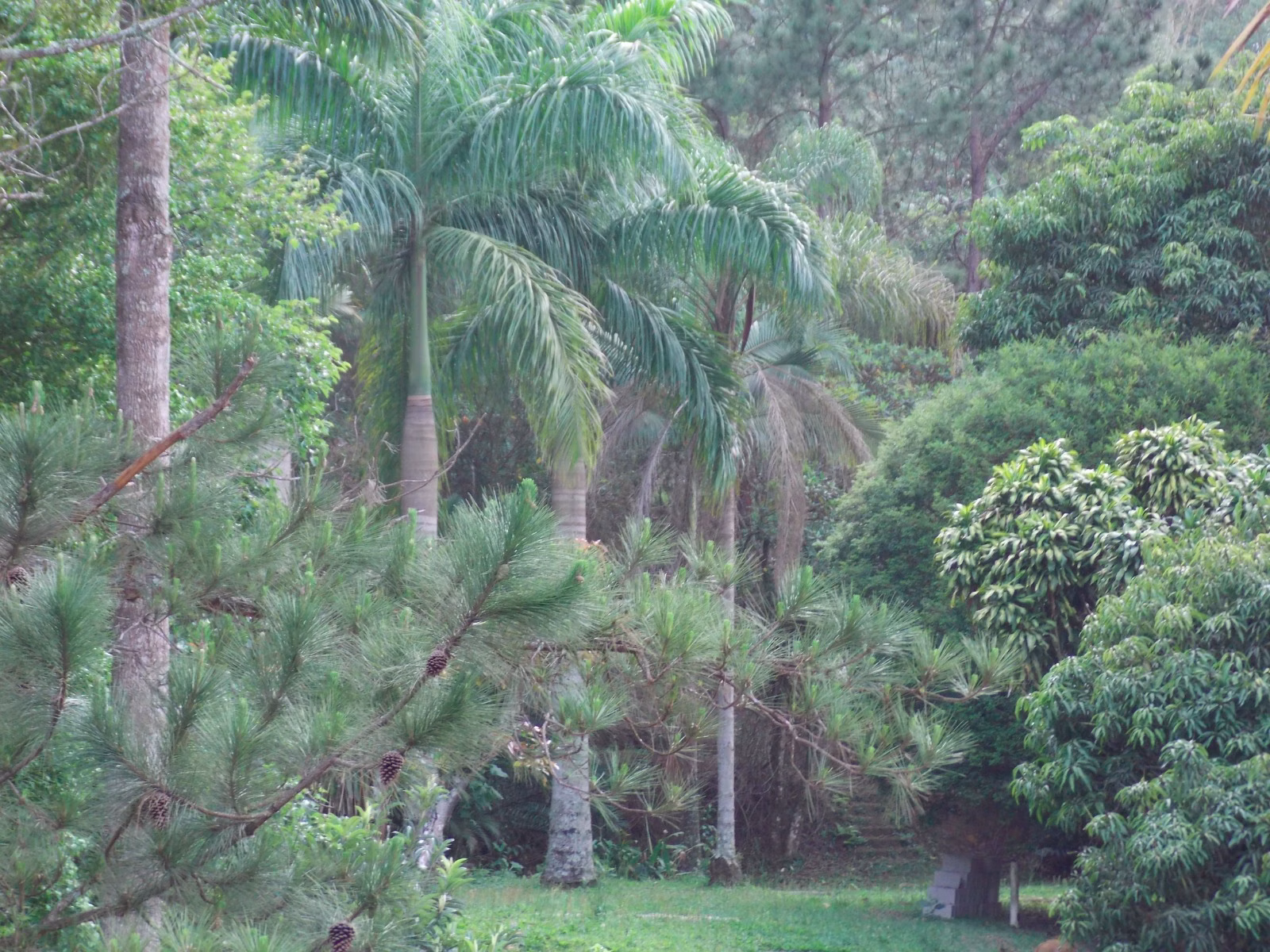 Country home of 3 acres in São José dos Campos, SP, Brazil