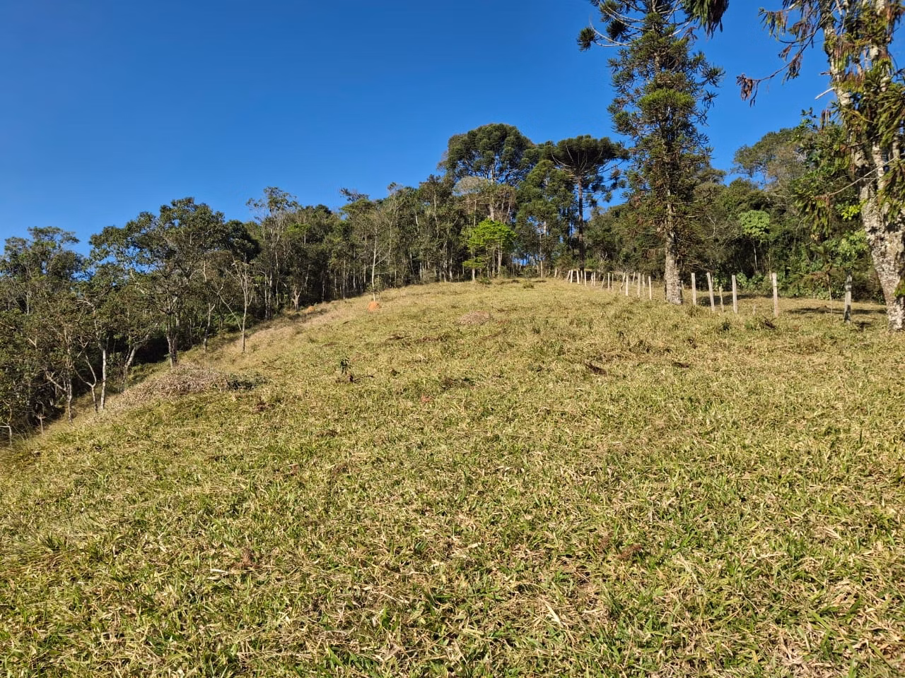 Terreno de 2 ha em São José dos Campos, SP