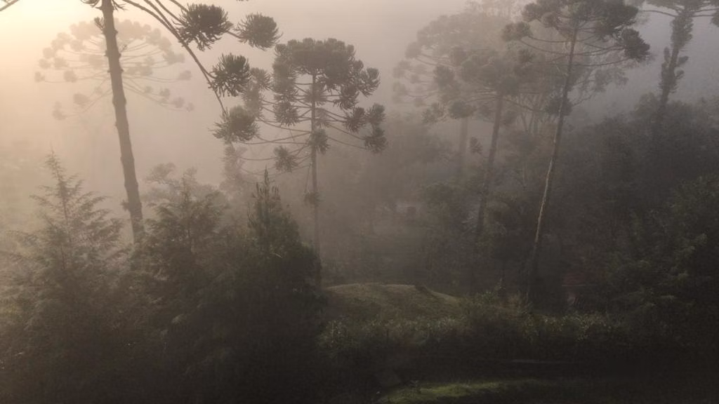 Chácara de 2.920 m² em Campos do Jordão, SP