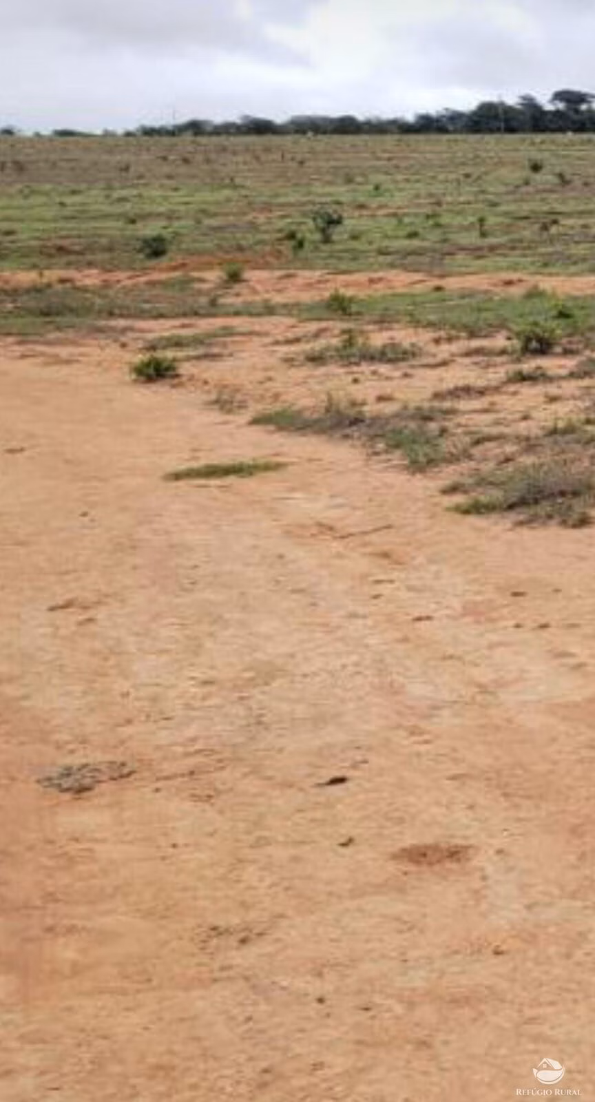 Fazenda de 1.200 ha em Itiquira, MT