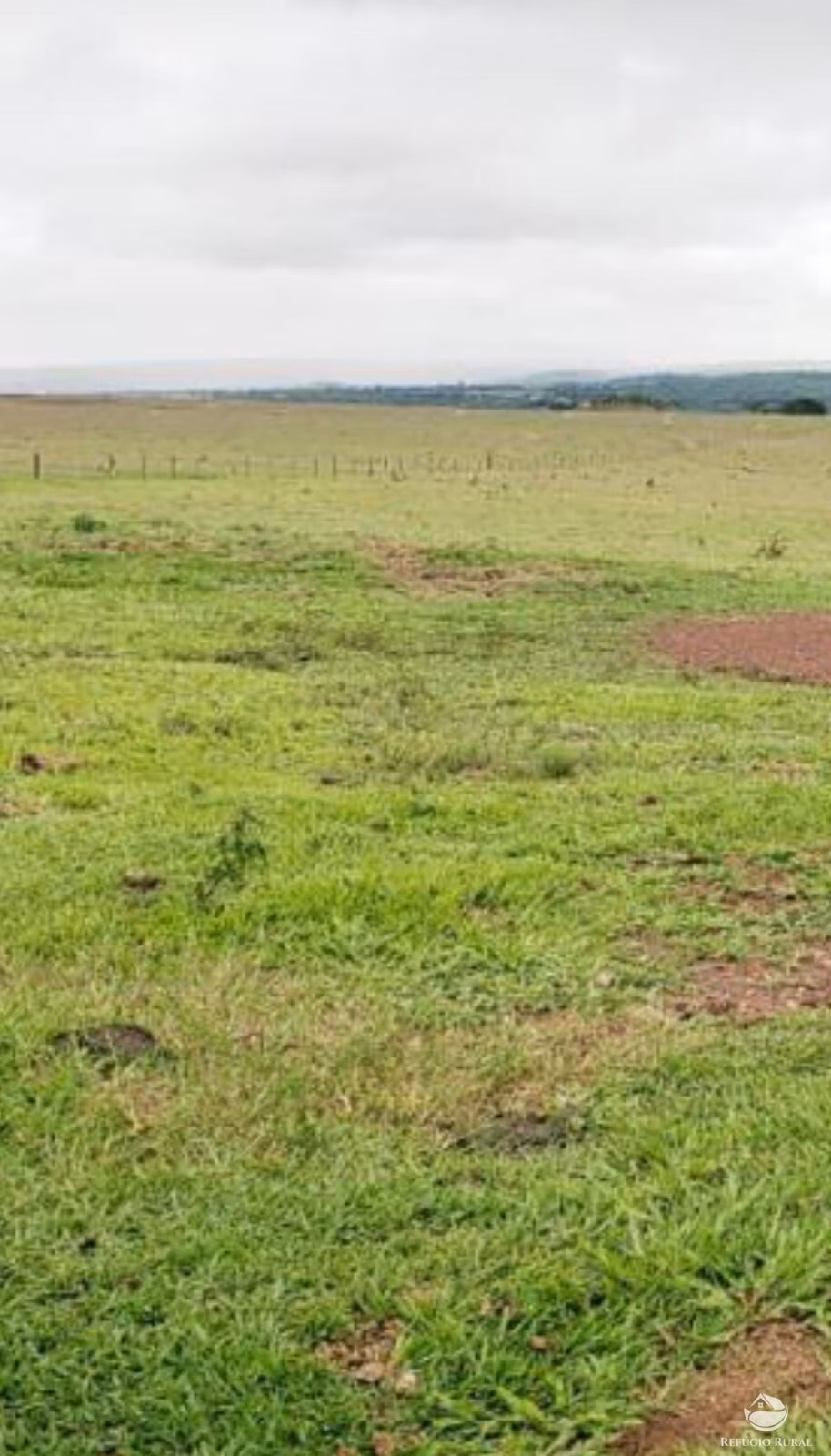 Fazenda de 1.200 ha em Itiquira, MT