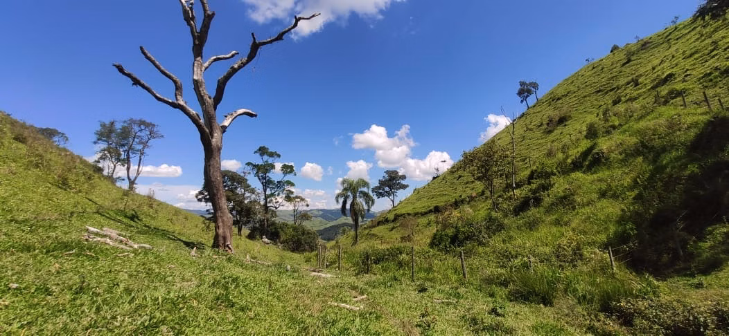 Fazenda de 109 ha em São Luiz do Paraitinga, SP
