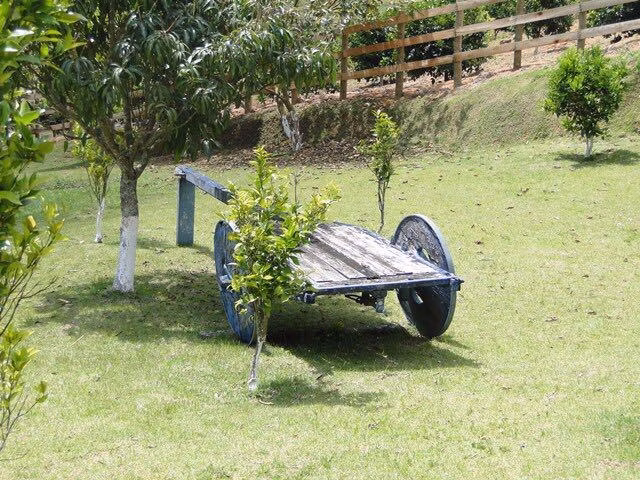 Fazenda de 290 ha em Lambari, MG